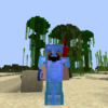 minecraft player with parrot