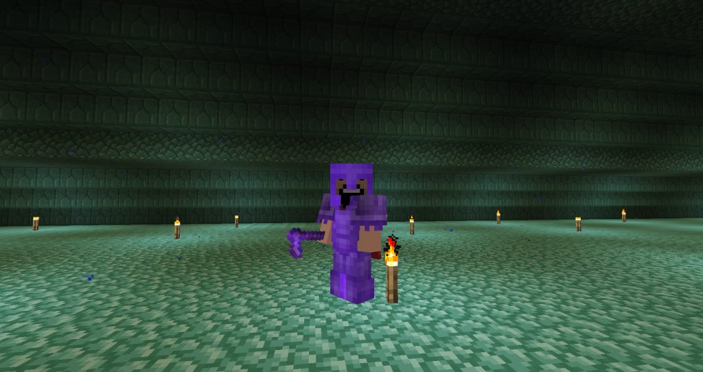 full netherite armor and hoe